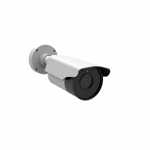 Профессионалы